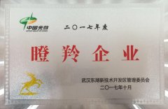創盛信息技術（湖北）が東湖新技術開発区2017年度の「ブランド企業」賞を獲得しました